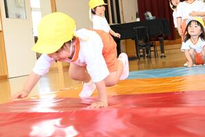 img_20240515-133230.jpg