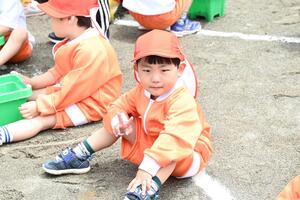 img_20240516-133938.jpg