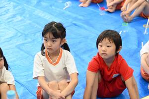 img_20240517-151805.jpg