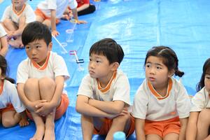 img_20240517-151810.jpg