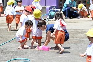 img_20240517-152520.jpg
