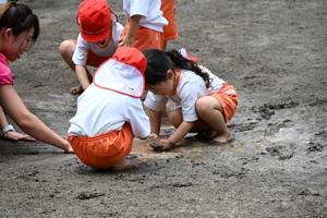 img_20240521-134310.jpg