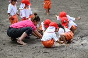 img_20240521-134320.jpg