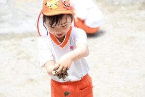 img_20240522-144852.jpg