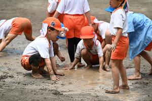 img_20240522-145007.jpg