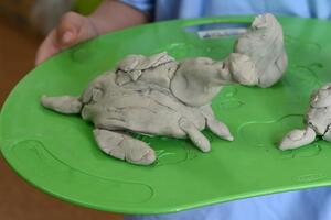 img_20240523-133557.jpg