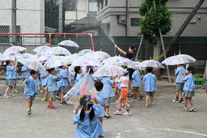 img_20240606-115906.jpg