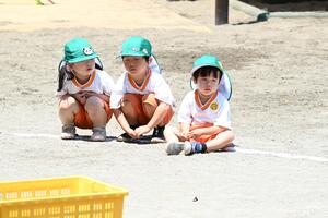 img_20240614-150229.jpg