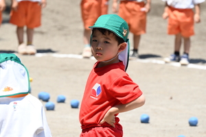 img_20240614-150236.jpg