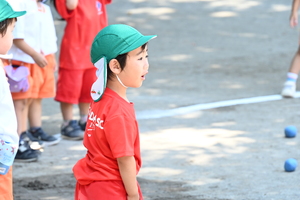 img_20240614-150242.jpg