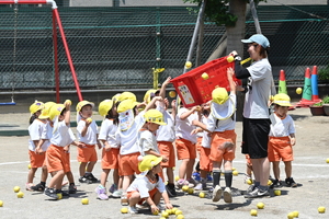 img_20240614-150437.jpg