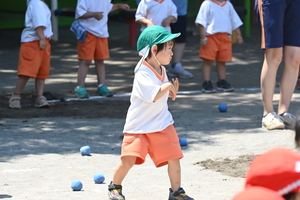 img_20240614-150506.jpg