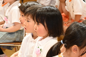 img_20240624-134450.jpg