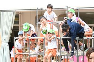 img_20240701-094033.jpg