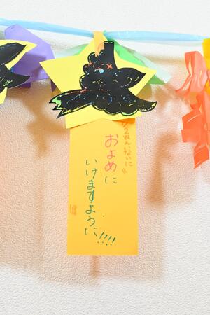 img_20240701-095305.jpg