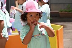 img_20240702-150430.jpg