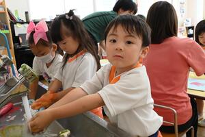 img_20240702-151938.jpg