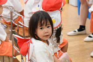 img_20240704-134943.jpg