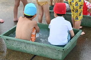 img_20240708-133635.jpg