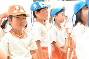 img_20240713-085837.jpg