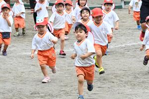 img_20240716-134552.jpg