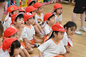 img_20240716-135118.jpg