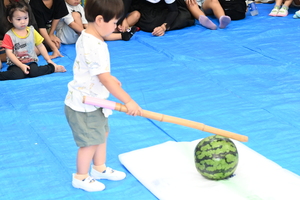 img_20240819-125504.jpg