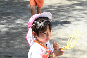 img_20240820-112311.jpg