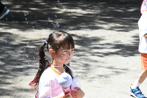 img_20240820-112359.jpg