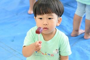 img_20240821-160033.jpg
