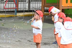 img_20240821-160316.jpg