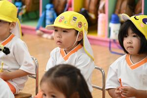 img_20240904-132045.jpg