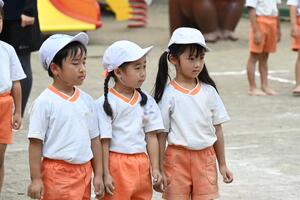 img_20240910-134234.jpg