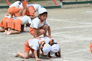 img_20240910-134242.jpg