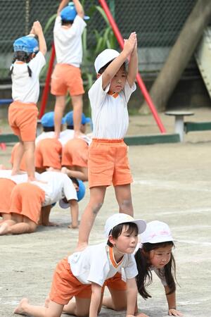 img_20240910-134248.jpg