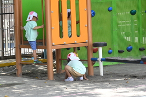 img_20240911-133229.jpg