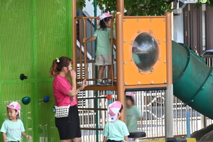 img_20240911-133236.jpg