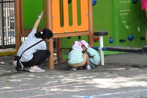 img_20240911-133251.jpg