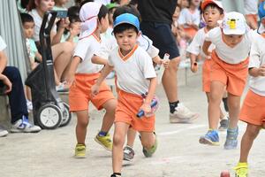 img_20240912-144207.jpg