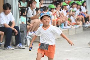img_20240912-145147.jpg