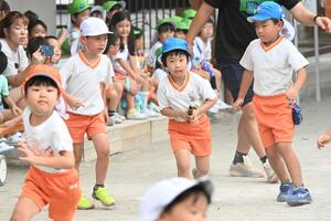 img_20240912-145213.jpg