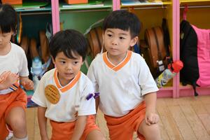 img_20240917-133945.jpg