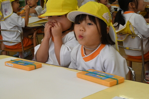 img_20240917-134107.jpg