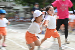 img_20240918-150408.jpg