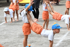 img_20240919-134759.jpg