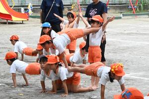 img_20240919-134846.jpg