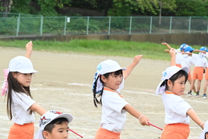 img_20240920-151820.jpg