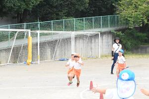 img_20240920-152001.jpg