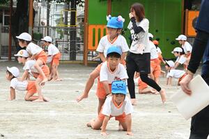 img_20240924-133044.jpg