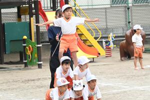 img_20240924-133215.jpg